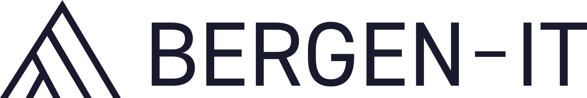 Bergen-IT